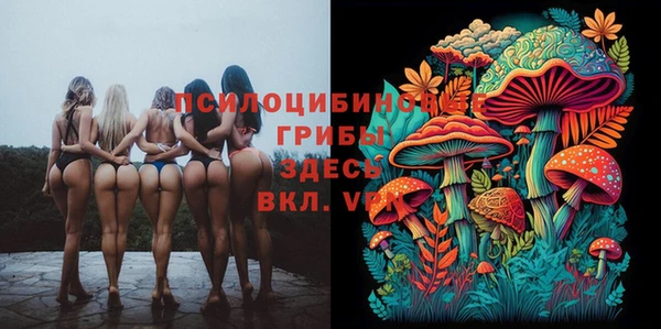 мяу мяу мука Алзамай