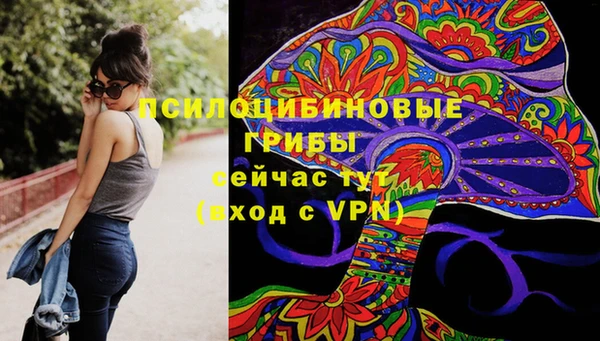 мяу мяу мука Алзамай
