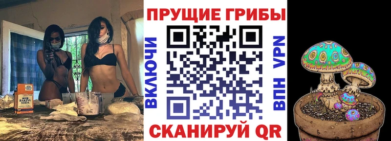 Псилоцибиновые грибы GOLDEN TEACHER  Миньяр 